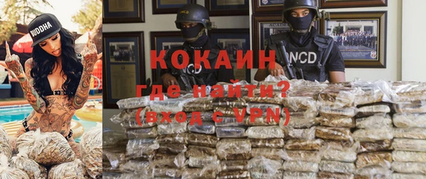 дживик Кинешма