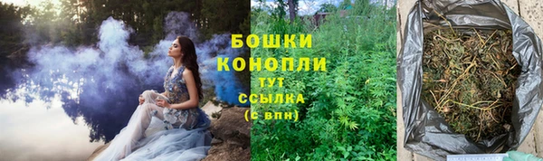 дживик Кинешма