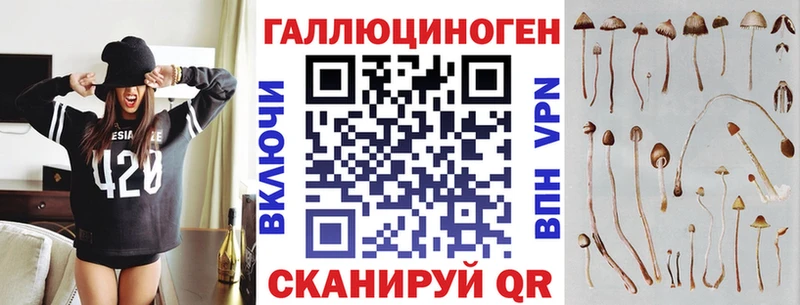 Галлюциногенные грибы Cubensis  Ленинградская 